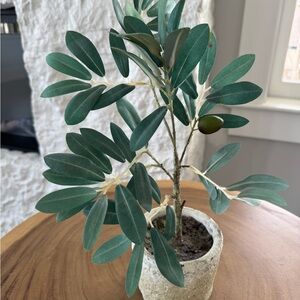 12 inch Artificial Olive Tree in Gray Pot